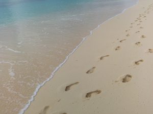 acupuncture wellness journey